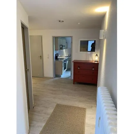 Shell Modern Retreat * Nesse